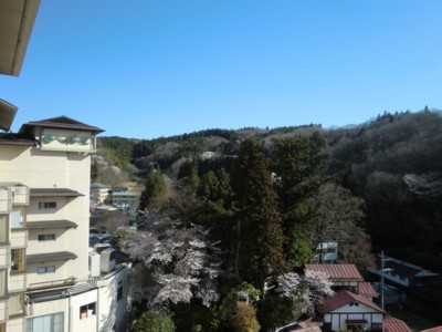 福島／三春の滝桜