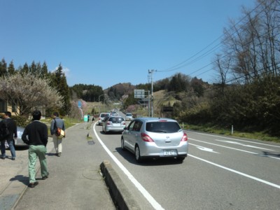 福島／三春の滝桜