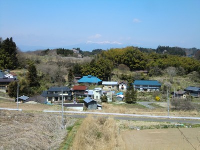 福島／三春の滝桜