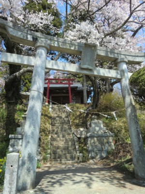 福島／三春の滝桜