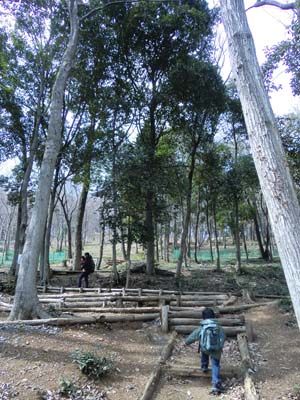 日和田山