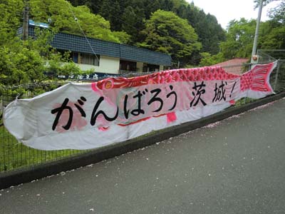 袋田の滝／海浜公園