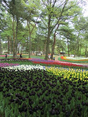 袋田の滝／海浜公園