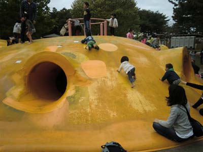 袋田の滝／海浜公園