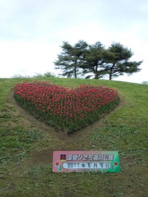 袋田の滝／海浜公園