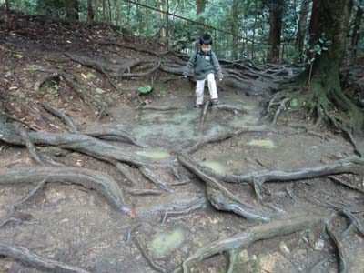 子連れ登山