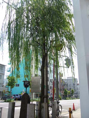 隅田川花火