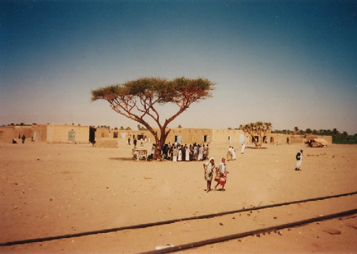 Viewing from train in northern Sudan