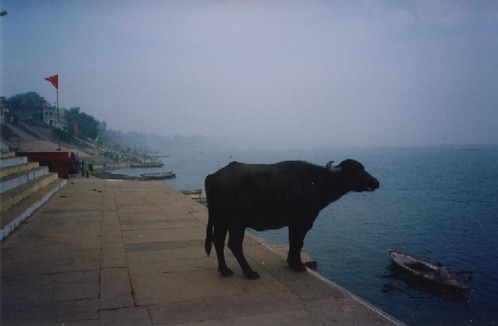 Varanasi