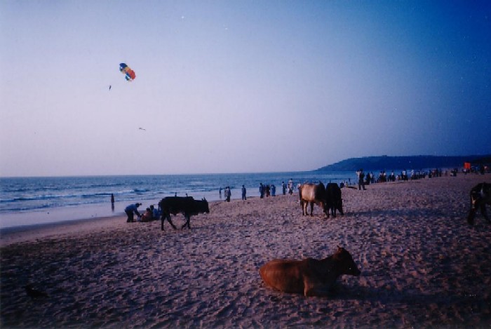 Goa