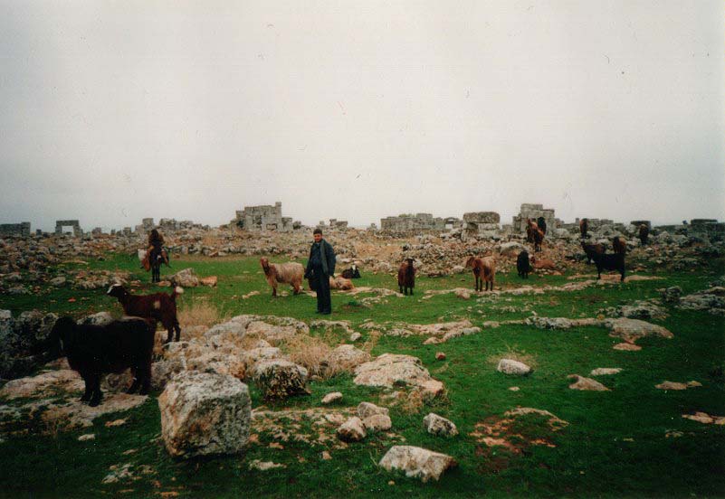 シリア／ローマ・ビザンティン時代のバラ遺跡