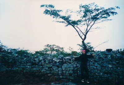졼ȥХ֥