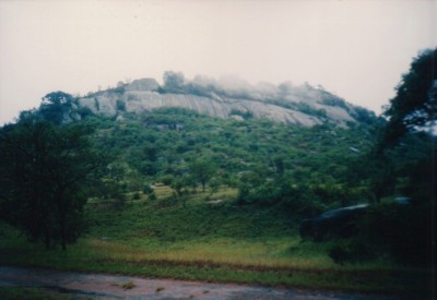 졼ȥХ֥