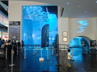 ドバイ水族館の巨大水槽