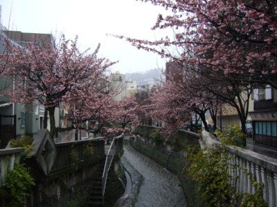 Ǯ