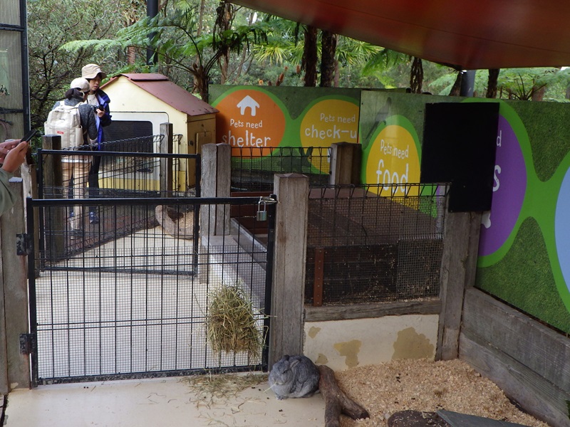 タロンガ動物園